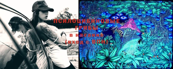 мяу мяу мука Ельня