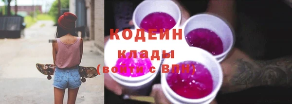 шишки Елабуга