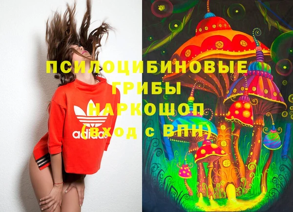 молекула духа Заволжск