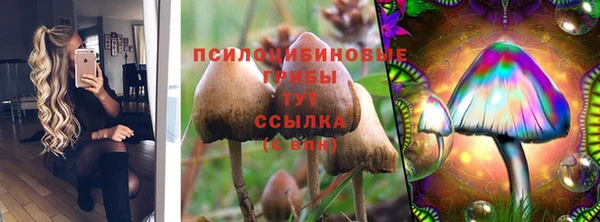 шишки Елабуга
