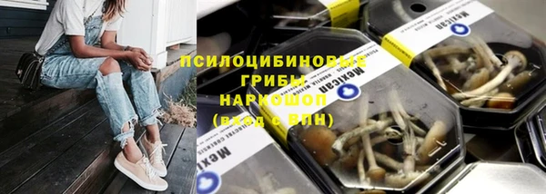 молекула духа Заволжск